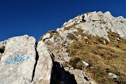 47 Risalendo su roccette in cresta di Cima Menna
